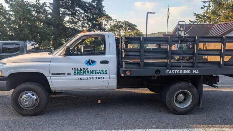 Island Shenanigins 1 768x432